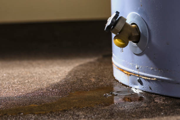 Best Water damage restoration near me  in Prospect Heights, IL