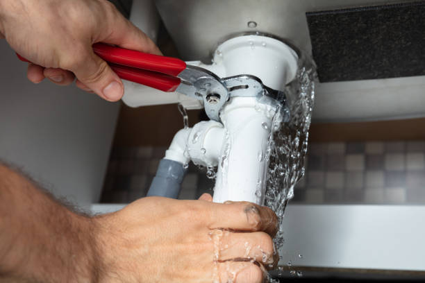 Best Local water damage restoration  in Prospect Heights, IL