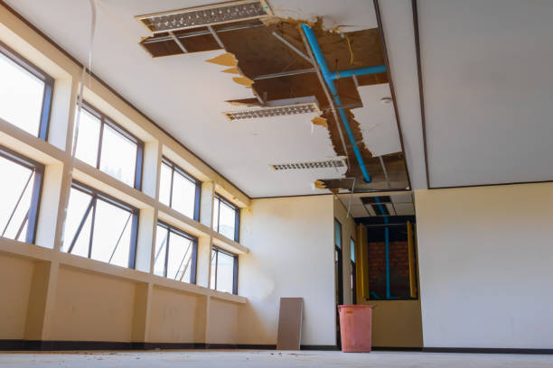 Best Commercial water damage restoration  in Prospect Heights, IL