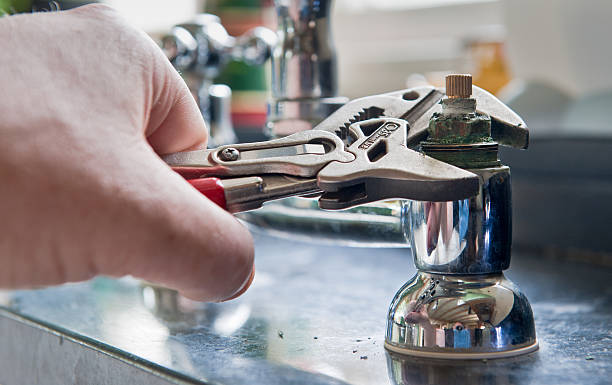 Best Flooded house restoration  in Prospect Heights, IL
