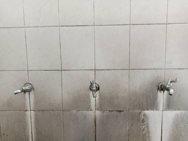 Best Water damage restoration experts  in Prospect Heights, IL