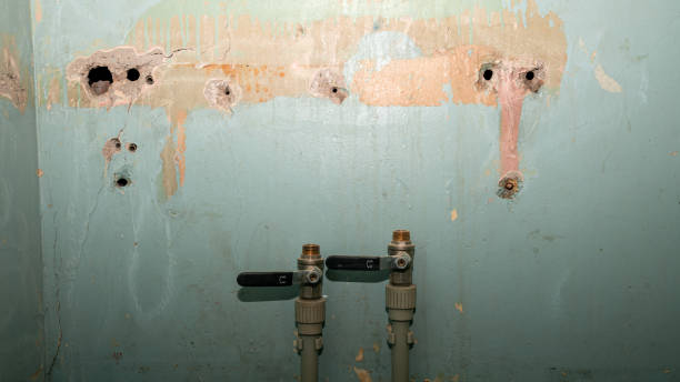 Best Mold removal after water damage  in Prospect Heights, IL