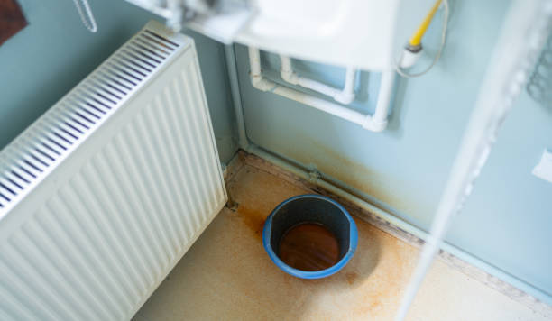 Best Flood damage cleanup  in Prospect Heights, IL